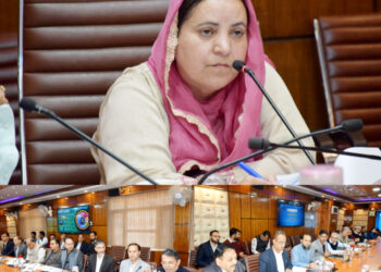 Address delays, remove bottlenecks: Sakeena