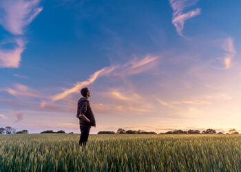 The Gift Of Sight: More Than Meets The Eye