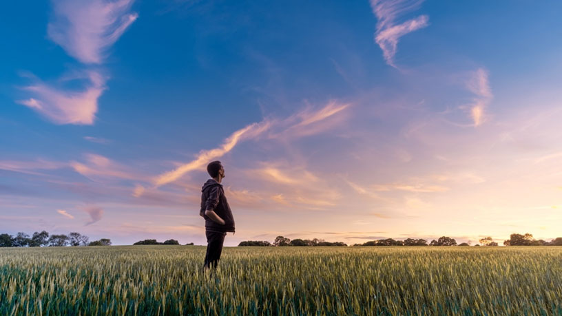 The Gift Of Sight: More Than Meets The Eye