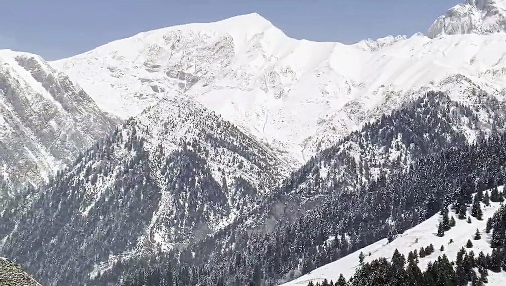 Untimely snowfall: Govt begins crop damage assessment