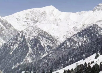 Untimely snowfall: Govt begins crop damage assessment