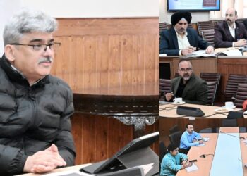 CS reviews measures to boost handicrafts sector in J&K