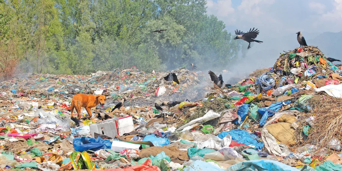 Garbage disaster looms over Wullar Lake