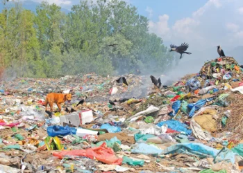 Garbage disaster looms over Wullar Lake