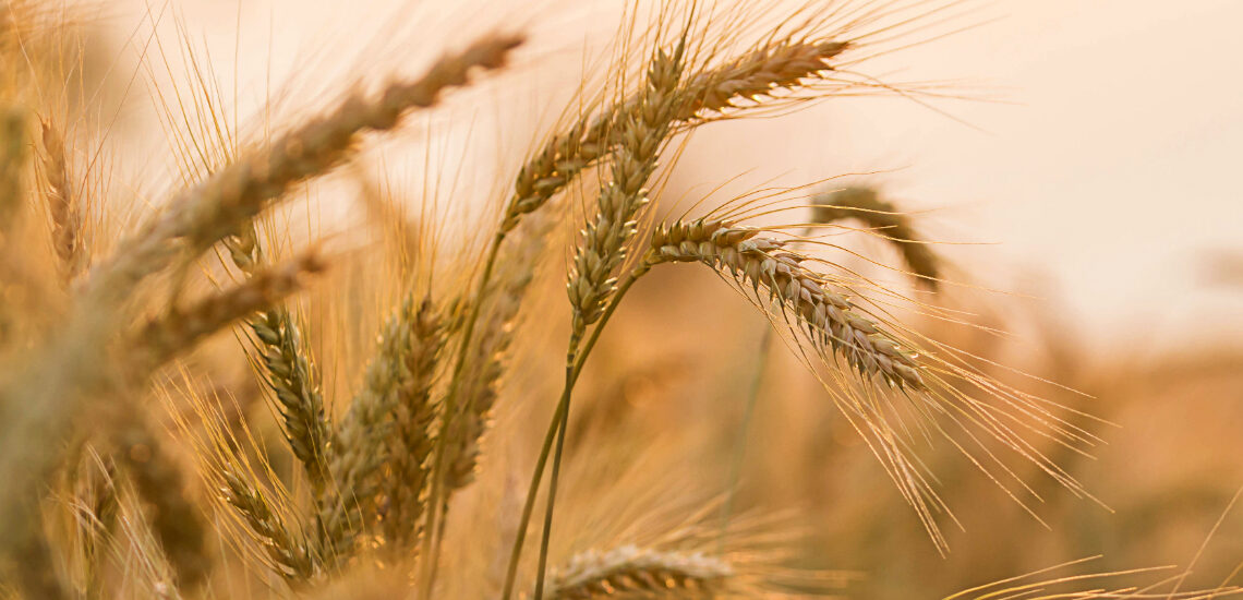 RWBCIS in pipeline: Govt