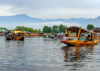 JKLCMA, NaBFID sign MoU for Dal Lake’s development