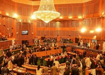 41 private member bills listed in today’s Assembly business