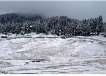 Gulmarg turns into winter wonderland after receiving season’s first snowfall on Wednesday, November 05, 2025
