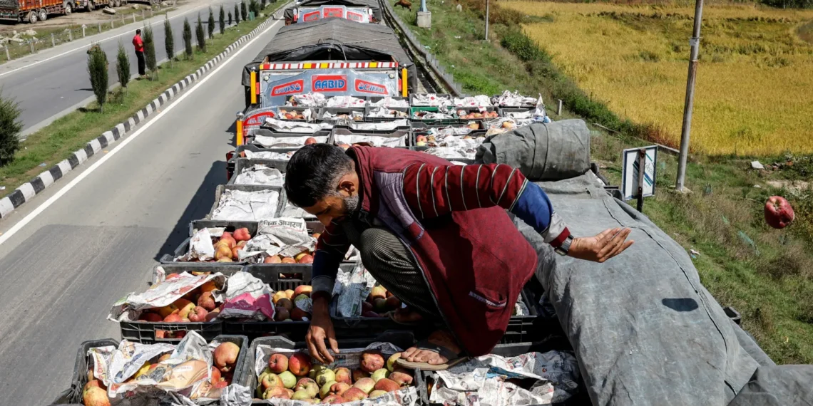 Valley’s fruit industry suffered Rs 2,000 cr losses due to August disaster: KVFG