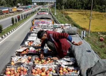 Valley’s fruit industry suffered Rs 2,000 cr losses due to August disaster: KVFG