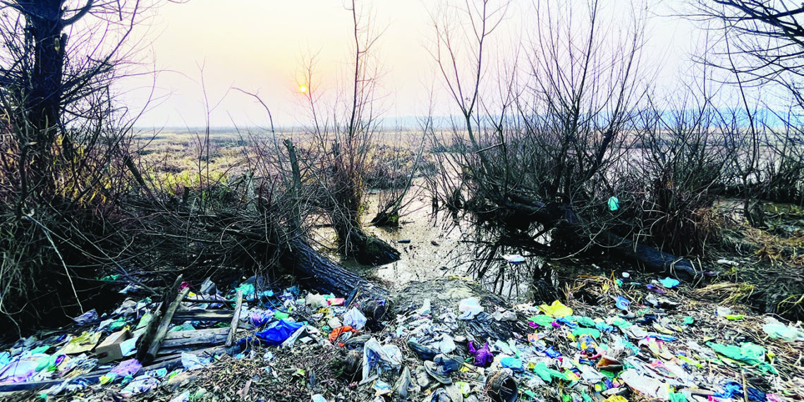 Hygam wetlands ecosystem in peril