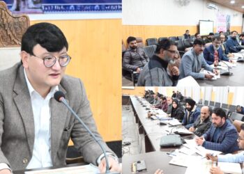 DC Baramulla chairs DLRC Meeting