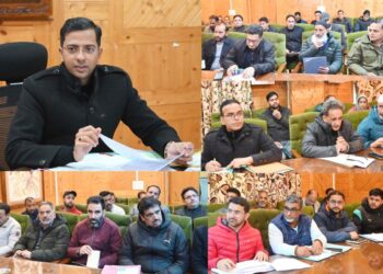 DC Shopian reviews winter mitigation preparations
