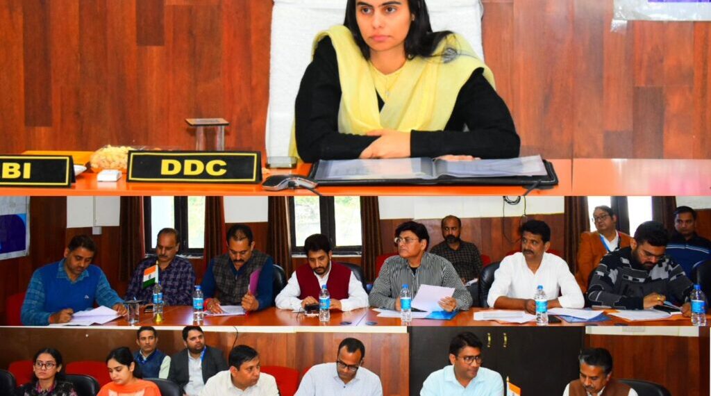 DDC Reasi reviews Banking sector performance at DLRC meeting