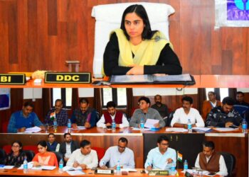 DDC Reasi reviews Banking sector performance at DLRC meeting