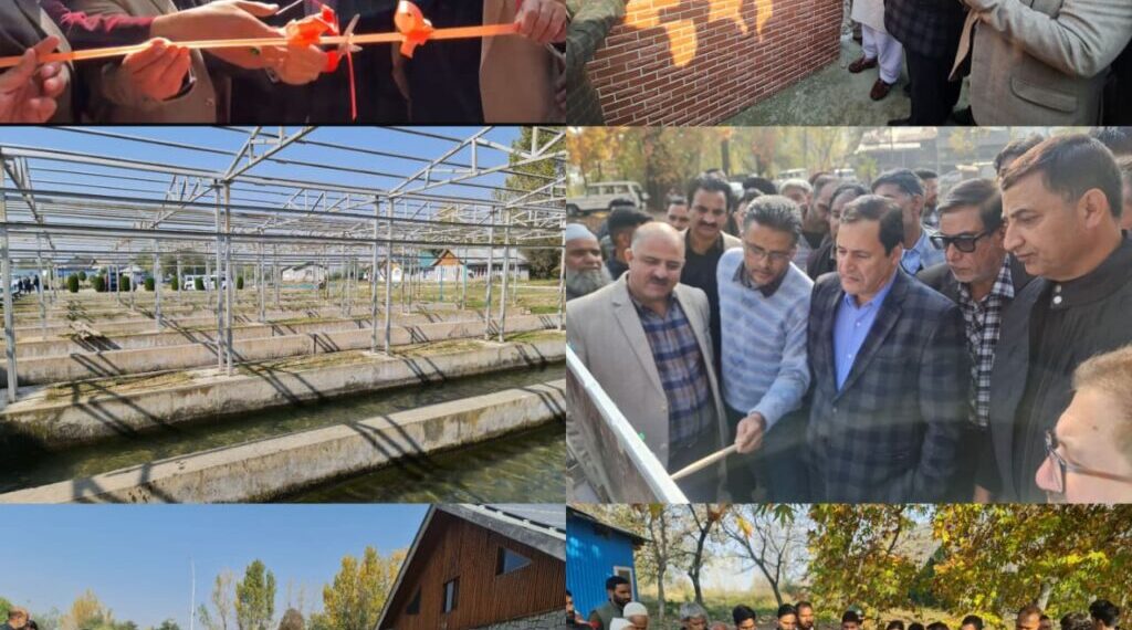 Fisheries sector can become key contributor to rural economy: Javid