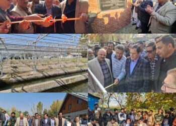 Fisheries sector can become key contributor to rural economy: Javid