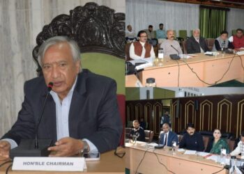 Tarigami chairs environment committee meeting