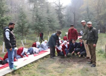 UF Division Sgr organises drawing competition