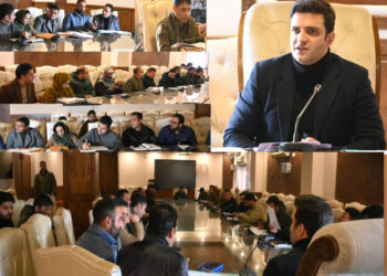 DC Kulgam chairs NCORD Committee meeting