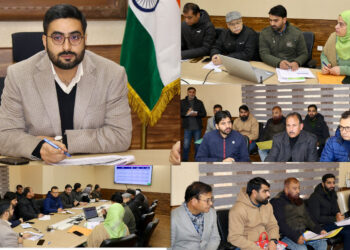 DC Srinagar reviews progress of JKCIP, HADP projects