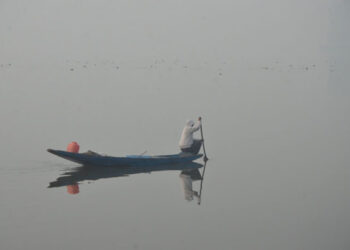 Man rows boat across mist-covered Dal Lake on chilly winter morning, as fog drifts softly through air
