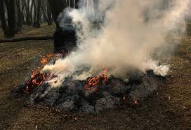 ‘Winter pruning fires choke Kashmir’