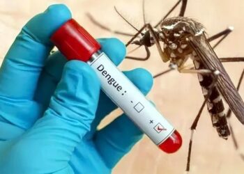 JK records nearly 2,900 dengue cases