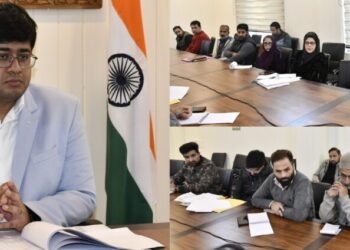 DC Gbl chairs DSC meeting for Green India Mission