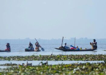 World Fisheries Day :‘Illegal fishing tightly controlled in Wular’