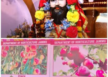 Horticulture innovation at Jhiri Mela-2025