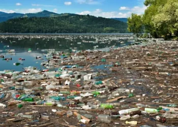 Human neglect killing Bandipora springs