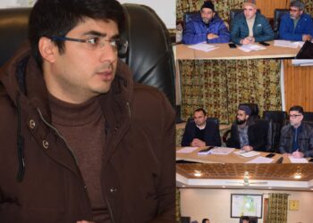 SMC Commissioner reviews EESL street-light project