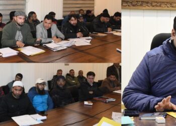 DC Ganderbal chairs monthly Revenue meeting