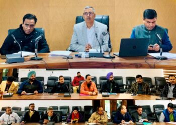 DC Kathua reviews stray animal safety, welfare measures