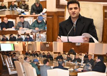 DC Kulgam chairs DLRC, DCC meet