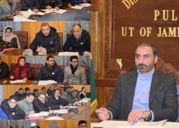 DC Pulwama reviews winter preparedness