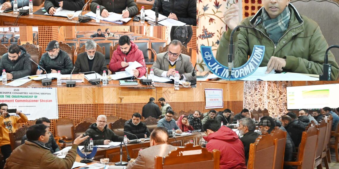 DC Shopian reviews banking performance, pushes for timely credit delivery