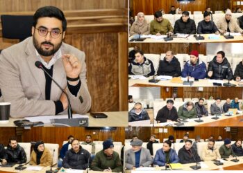 DC Srinagar reviews district capex, CDF works