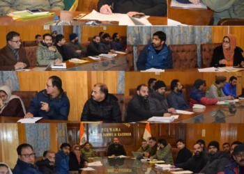 DC Pulwama chairs 29th District NCORD meeting