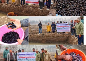 KVK Bandipora showcases scientific aquatic crop cultivation 