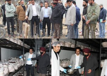 Mission Director HADP, DC inspect compost, Mushroom Units in Doda