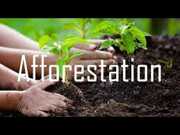 Centre highlights J&K’s afforestation work under GIM