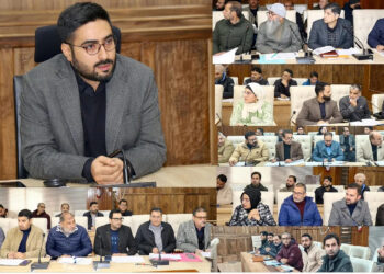 DC Srinagar reviews capex budget works, calls for timely completion
