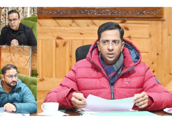 DC Shopian stresses timely, seamless revenue service delivery