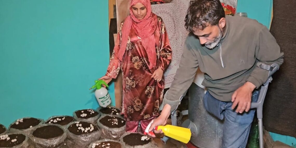 World Disability Day : Anantnag couple cultivates hope and mushrooms