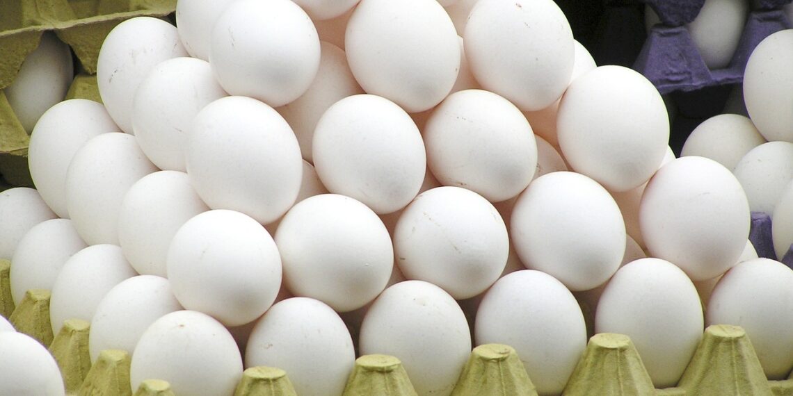 Toxin scare triggers valley-wide egg check