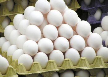 Toxin scare triggers valley-wide egg check