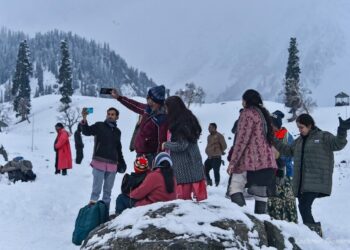 Snowfall sparks booking surge