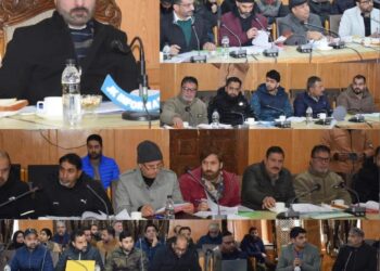 DC Pulwama reviews bank performance, stresses priority sector lending